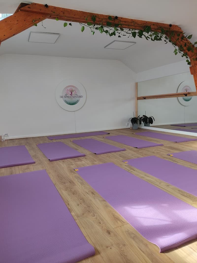 Studio pilates AUMNIA YOGA STUDIO