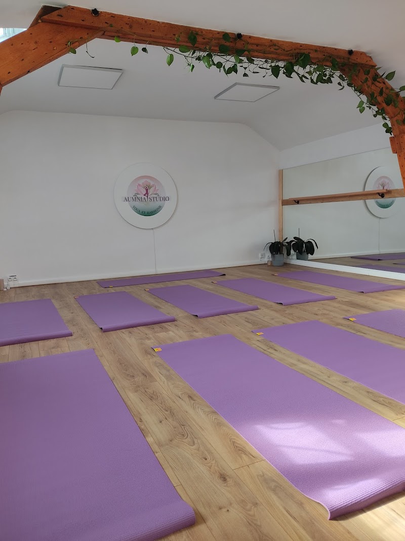 Studio pilates AUMNIA YOGA STUDIO