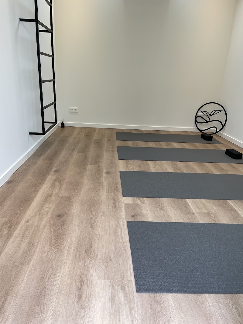 Studio pilates Yoga Dō Ippo à Rotselaar