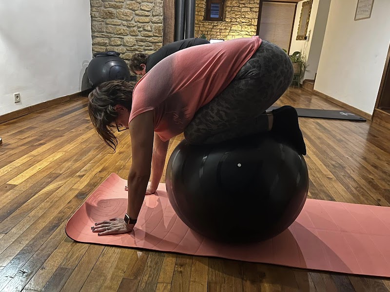 Studio pilates Coach Pilates Marie Gois à Aubange
