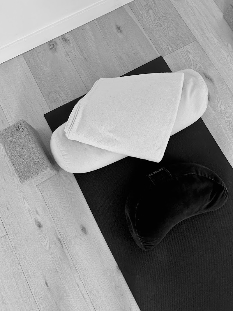 Studio pilates WELL Yoga & Pilates à Louvain