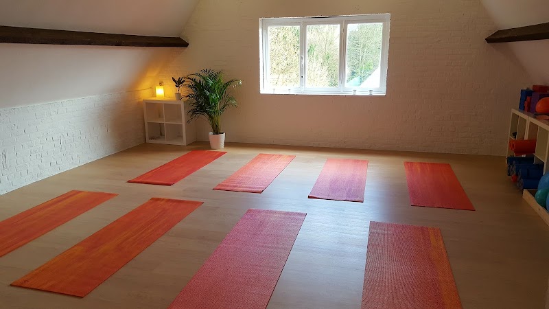 Studio pilates Feel Good in the Wood à Uccle