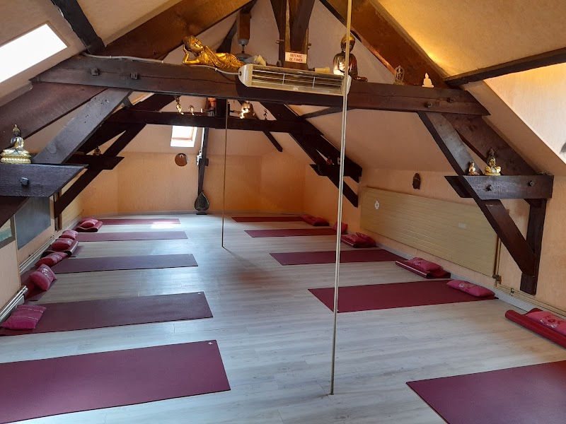 Studio pilates Sandra Pilates Yoga