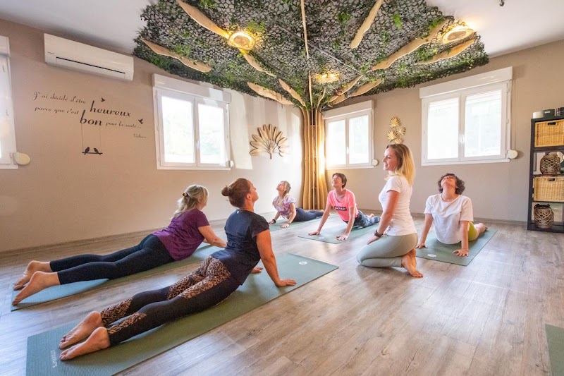 Studio pilates Gfit Studio coach sportif yoga pilates boxe Gardanne et alentour