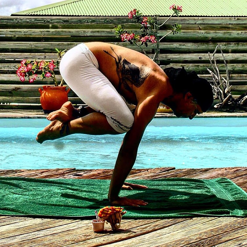 Studio pilates Ecole du Dragon De Bois : Yoga/Pilates