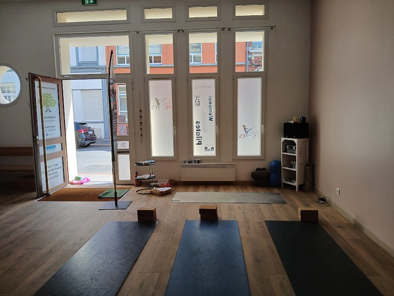 Studio pilates Studio Pilates&Yoga Céline Poddevin