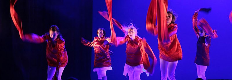 Studio pilates L'Oiseau-Lyre, (éveil, danse, cirque etc.)