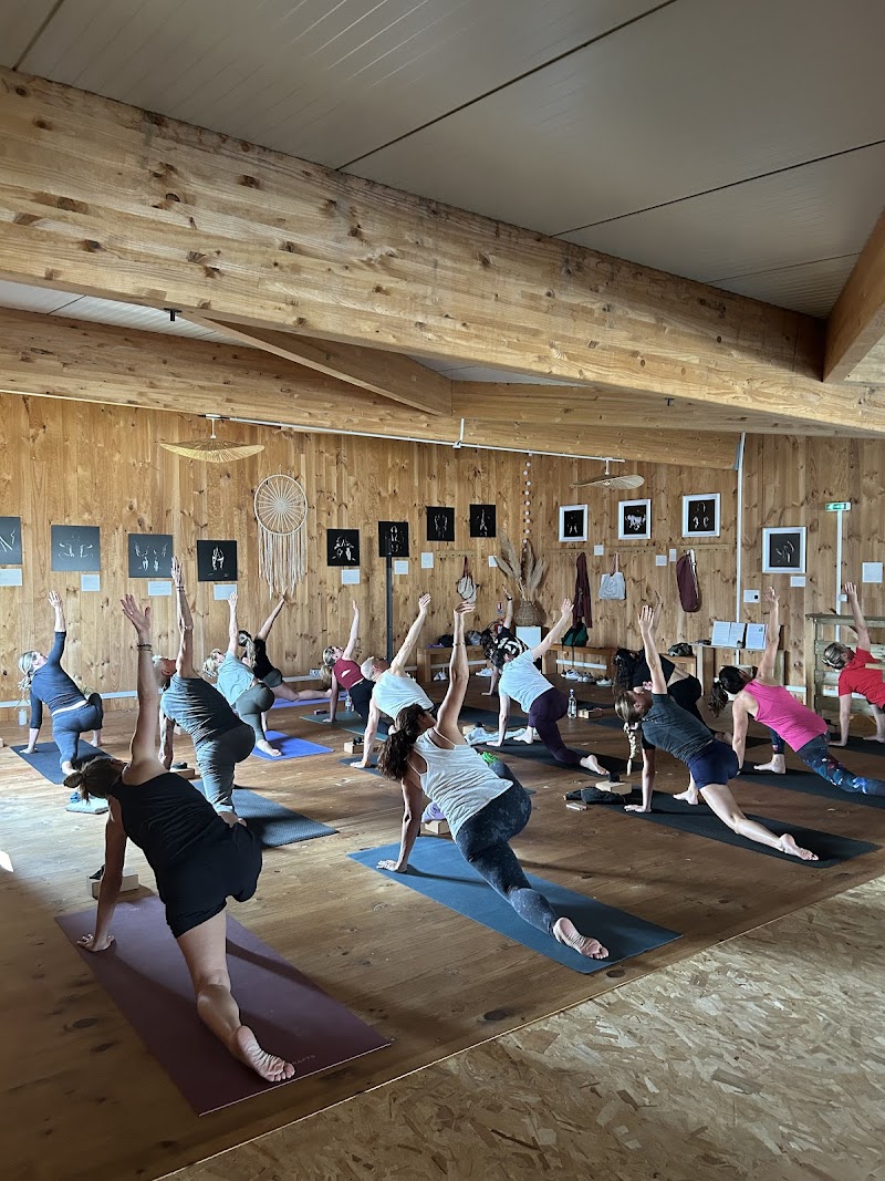 ARENA Studio – studio pilates à Floirac