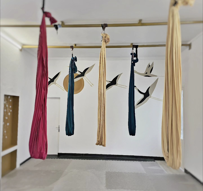 Konnection Studios - Bienêtre - Aérien - Pole - Danse - Acro – studio pilates à Saint-Denis