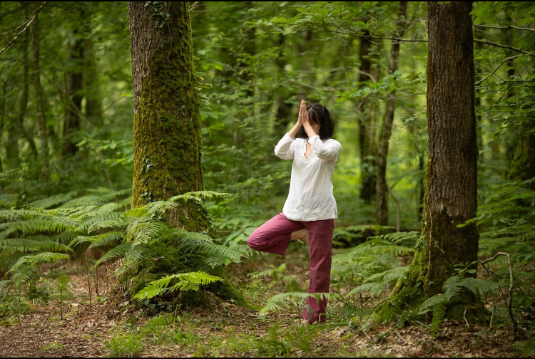 Association Laya (cour de YOGA ) – studio pilates à Les Sorinières