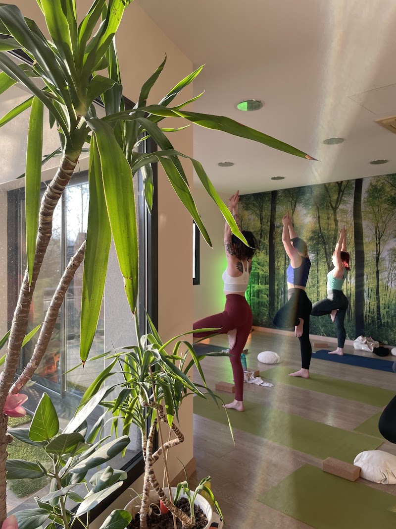 Studio pilates Studio Yoga Dijon