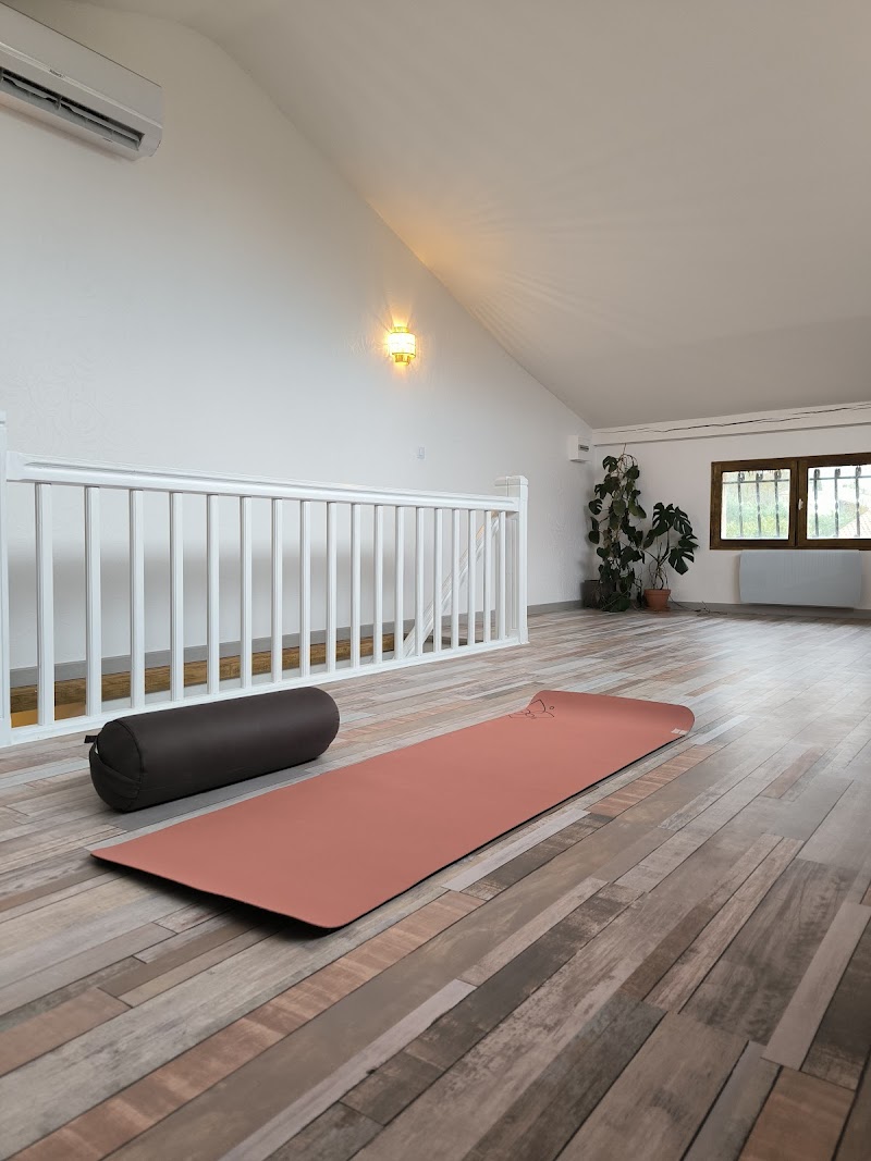 Association Shavasana & Esprit Aventures Yoga – studio pilates à Saint-Lys