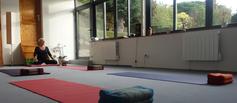 Studio pilates Yoga 78 - Yoga thérapie, Yoga zen, Bien-être